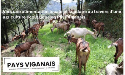 PaysViganais4.jpg