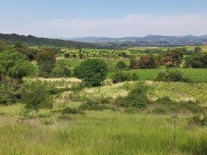 PAT Fil rouge (3D Pays Coeur d'Herault)