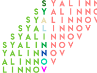 Une Session de formation Syalinnov &agrave; l'automne