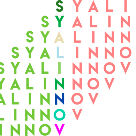 Une Session de formation Syalinnov à l'automne
